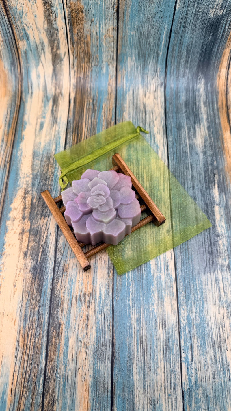 Desert Bloom