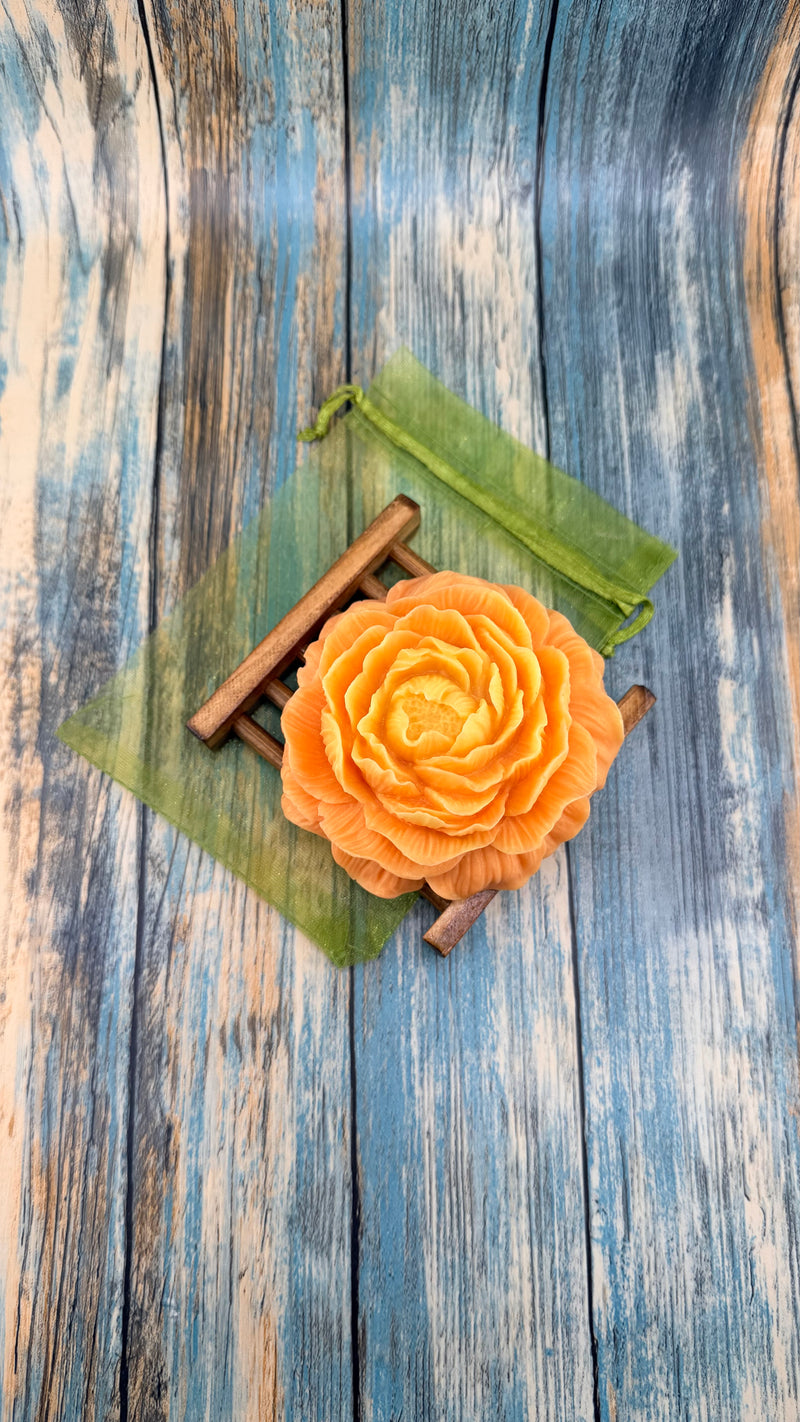 Solara Bloom