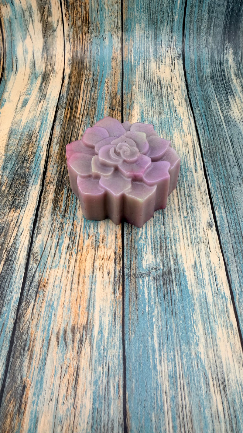 Desert Bloom