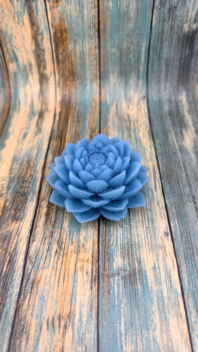 Aqua Serenity Gift Set