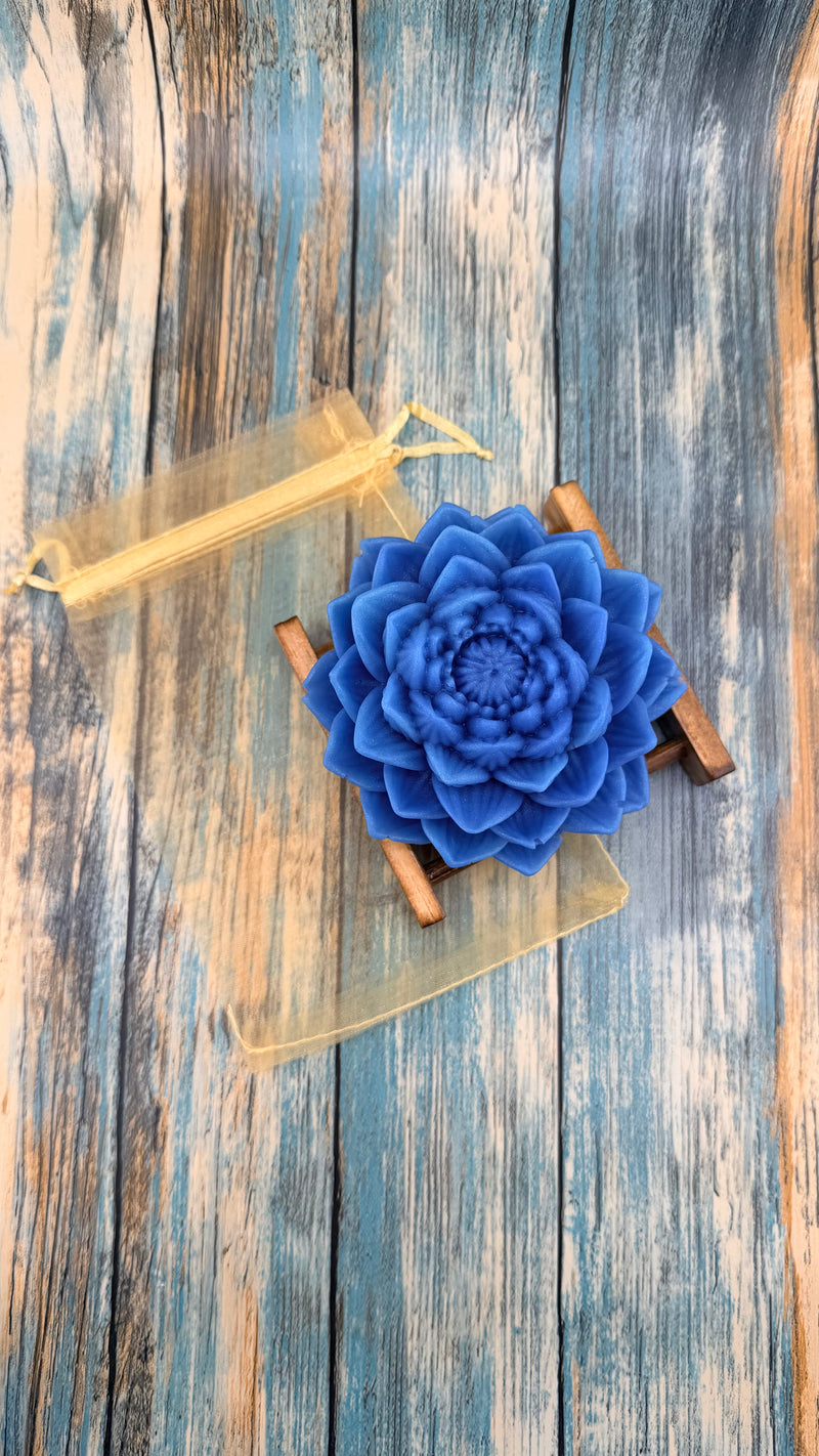 Aqua Serenity Gift Set